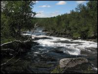 Bifogad bild: norge2010augusti129.jpg